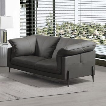 Tadi Loveseat in Black Leather LV04511 By ACME