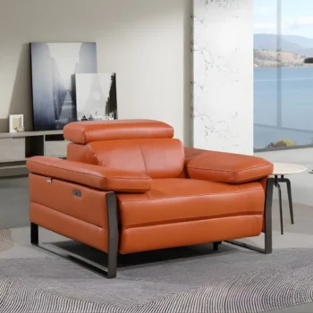 1246 Power Reclining Arm Chair with Power in Leather By Gu Furniture